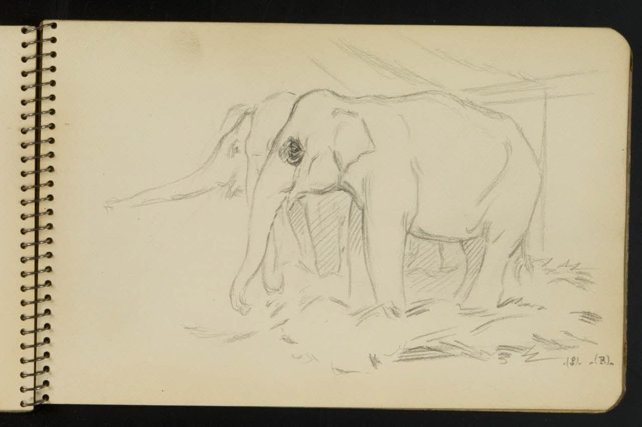 carnet de dessins Esquisse d'éléphants 1967.116.949.13 Photo