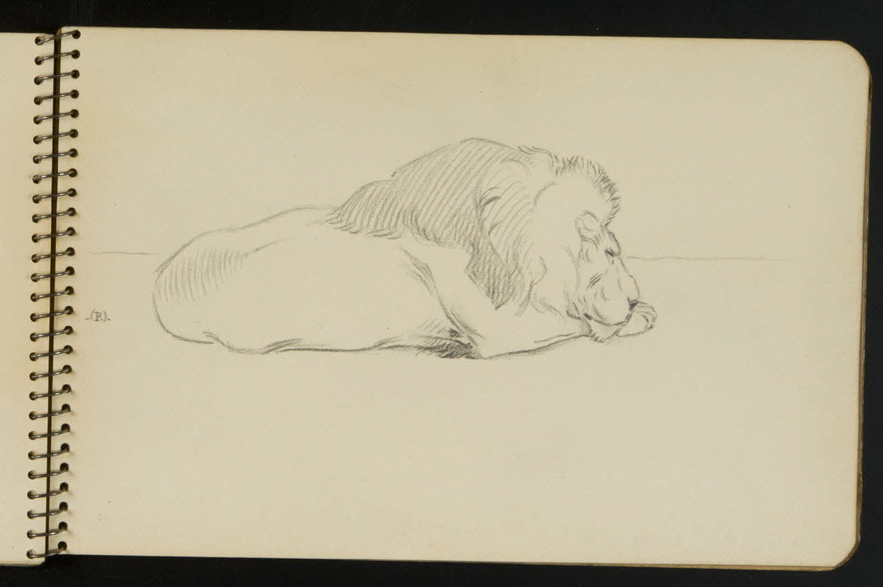 carnet de dessins Esquisse de lion endormi 1967.116.949.14 Photo