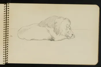 carnet de dessins Esquisse de lion endormi 1967.116.949.14 Photo
