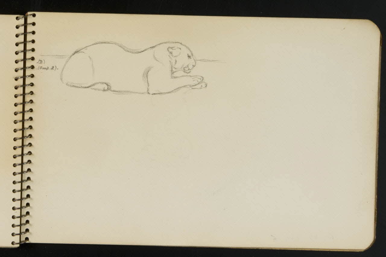 carnet de dessins Esquisse de panthère allongée 1967.116.949.15 Photo