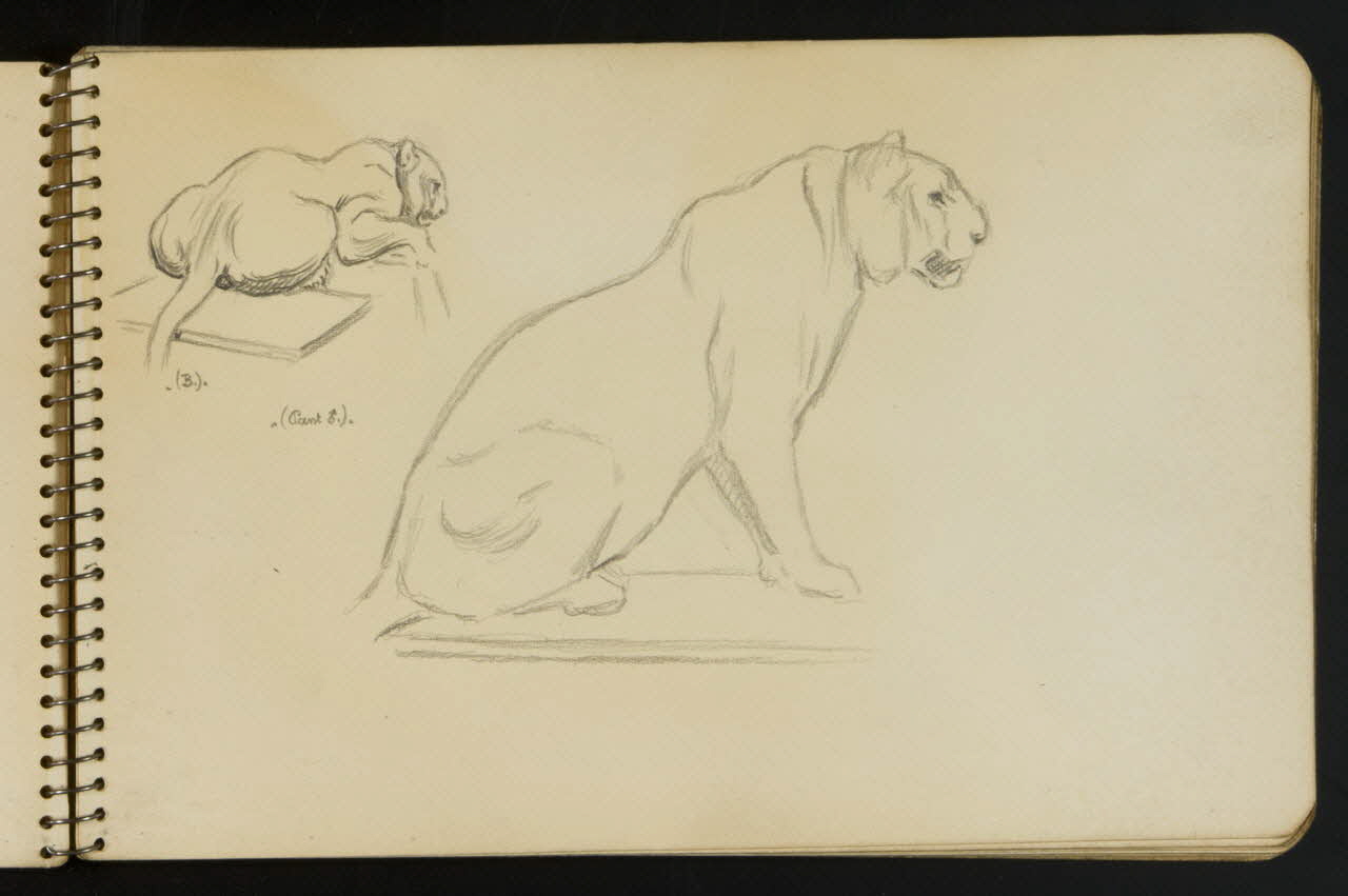 carnet de dessins Esquisse de panthère 1967.116.949.3 Photo