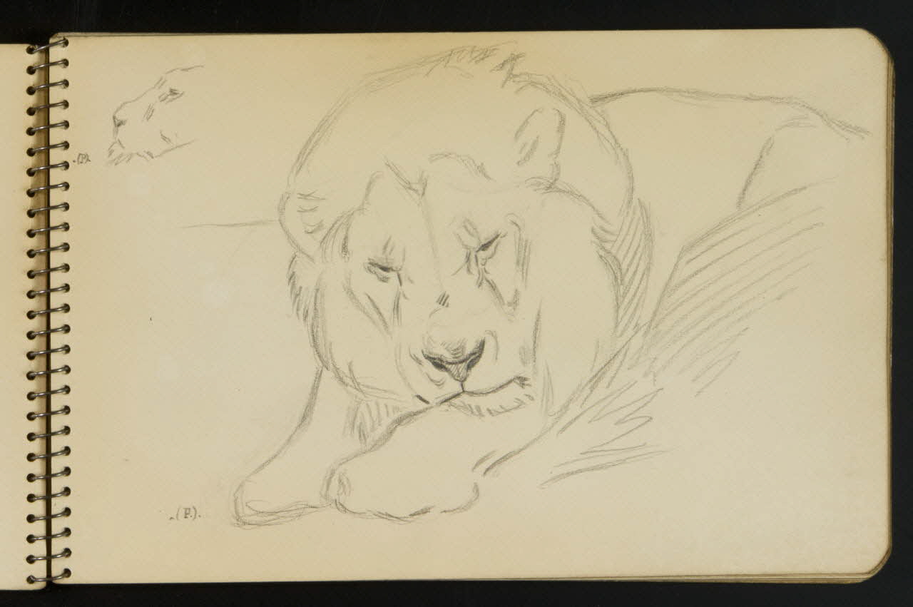 carnet de dessins Esquisse de lion endormi 1967.116.949.4 Photo