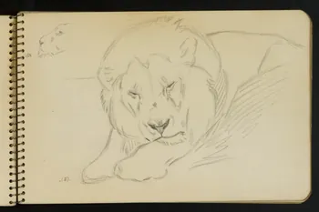 carnet de dessins Esquisse de lion endormi 1967.116.949.4 Photo