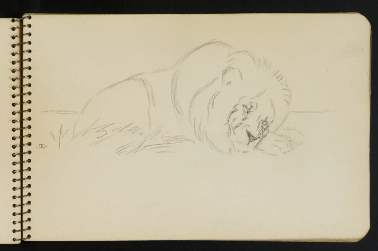 carnet de dessins Esquisse de lion endormi 1967.116.949.6 Photo