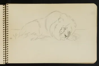 carnet de dessins Esquisse de lion endormi 1967.116.949.6 Photo