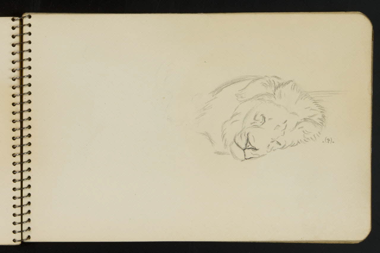 carnet de dessins Esquisse de lion endormi 1967.116.949.7 Photo