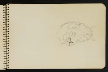 carnet de dessins Esquisse de lion endormi 1967.116.949.7 Photo