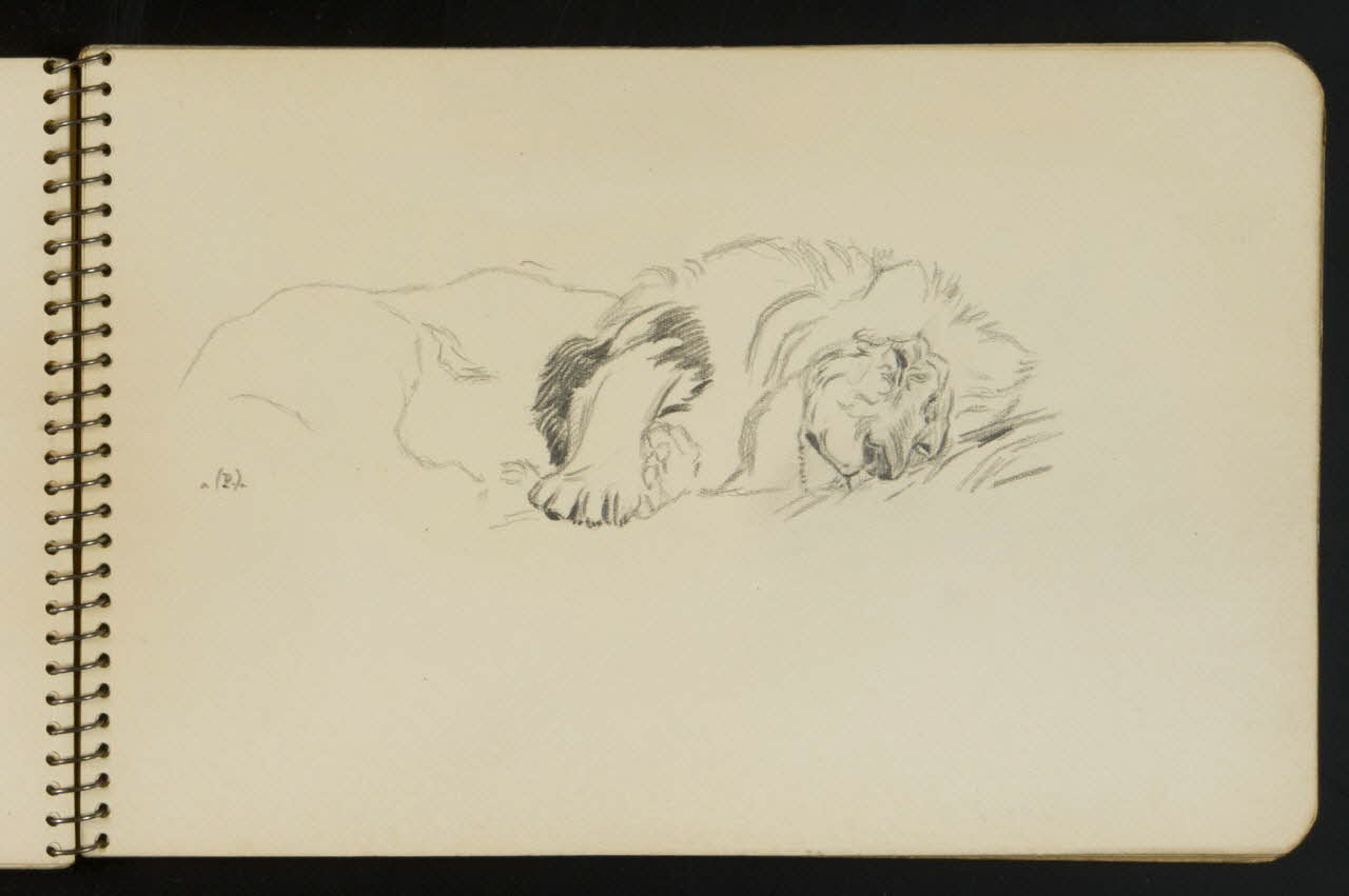 carnet de dessins Esquisse de lion endormi 1967.116.949.8 Photo