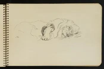 carnet de dessins Esquisse de lion endormi 1967.116.949.8 Photo