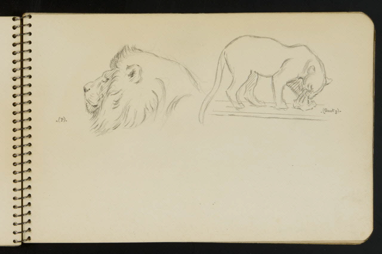 carnet de dessins Esquisse de lion et de panthère 1967.116.949.9 Photo