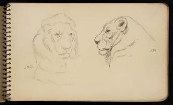 carnet de dessins Lion 1967.116.950.1  Photo