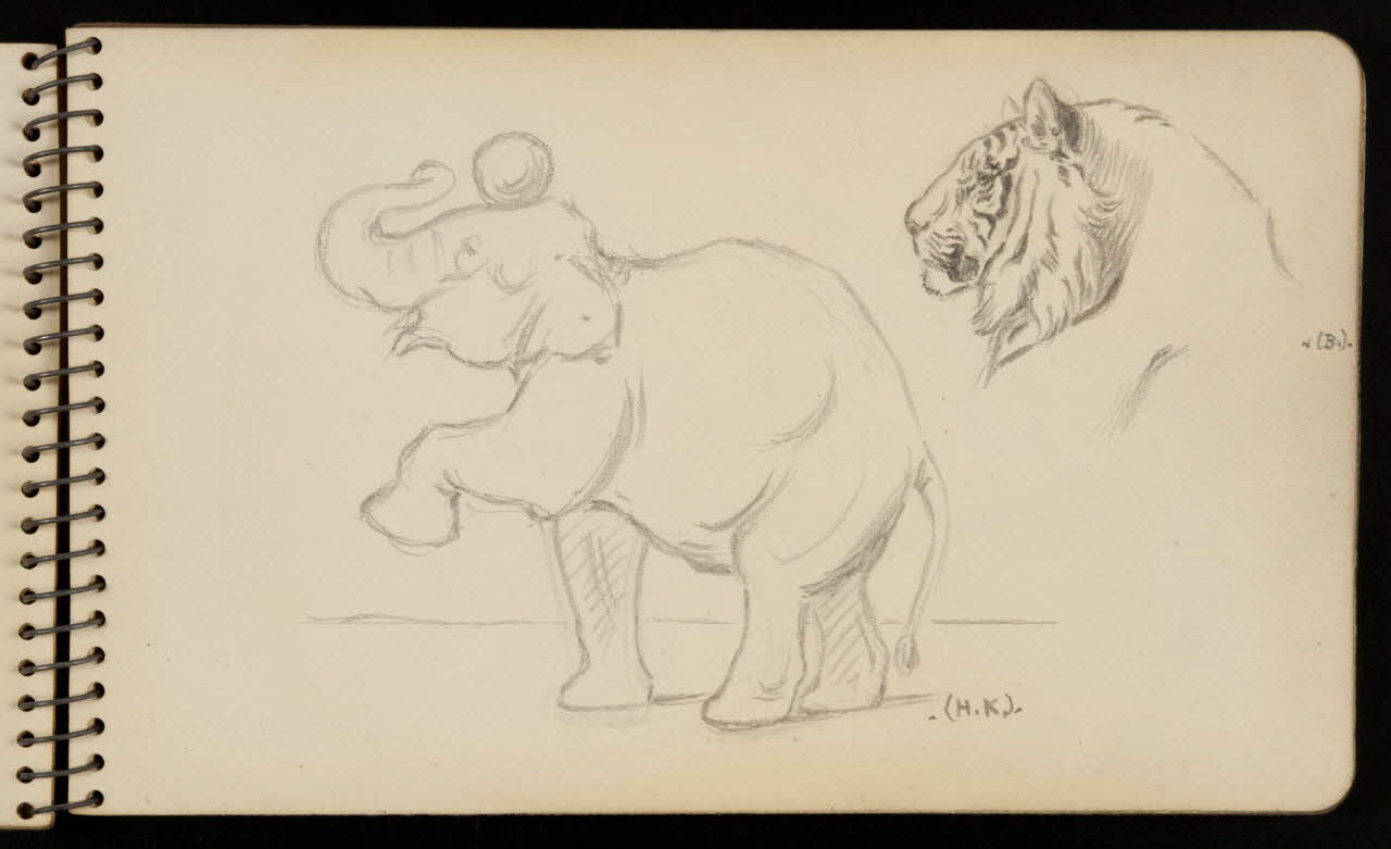 carnet de dessins Elephant et tigre 1967.116.950.11 Photo