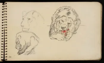 carnet de dessins Lion 1967.116.950.2  Photo