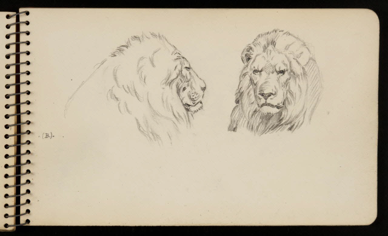 carnet de dessins Lion 1967.116.950.20 Photo