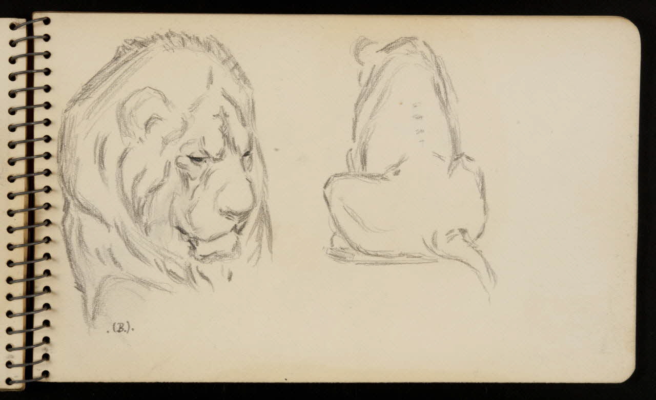 carnet de dessins Lion 1967.116.950.24 Photo
