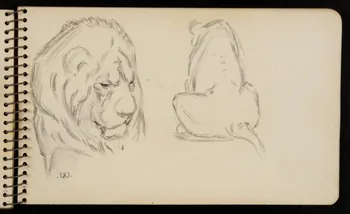 carnet de dessins Lion 1967.116.950.24 Photo