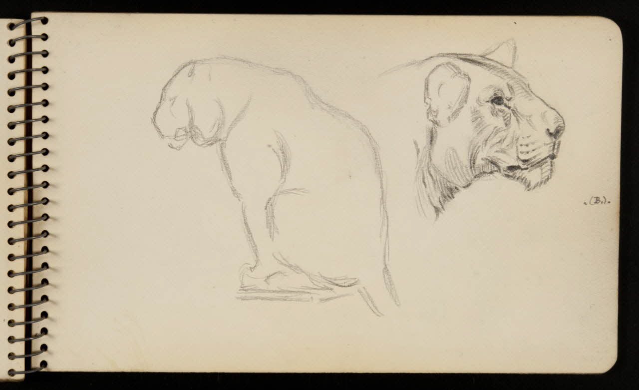 carnet de dessins Lionne 1967.116.950.26 Photo