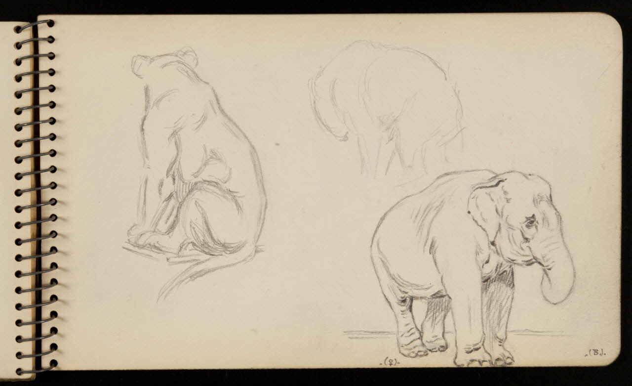 carnet de dessins Lionne et éléphant 1967.116.950.27 Photo