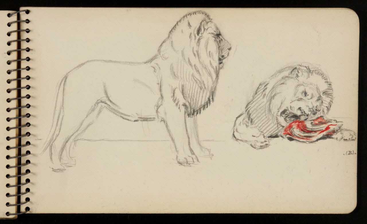 carnet de dessins Lion 1967.116.950.28 Photo