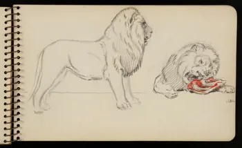 carnet de dessins Lion 1967.116.950.28 Photo