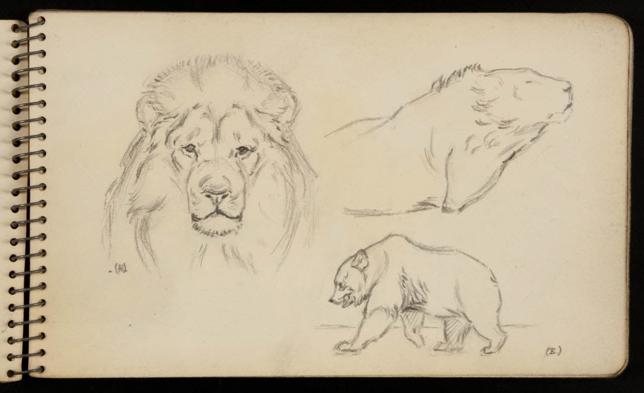 carnet de dessins Ours et lion 1967.116.950.4 Photo
