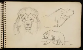 carnet de dessins Ours et lion 1967.116.950.4  Photo
