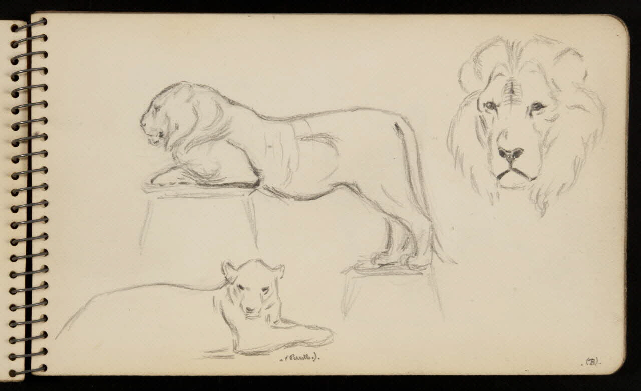 carnet de dessins Lion et lionne 1967.116.950.7 Photo