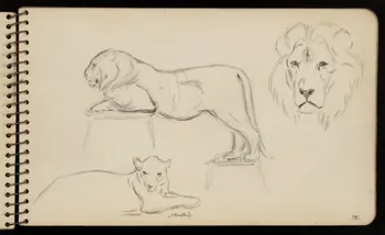 carnet de dessins Lion et lionne 1967.116.950.7  Photo