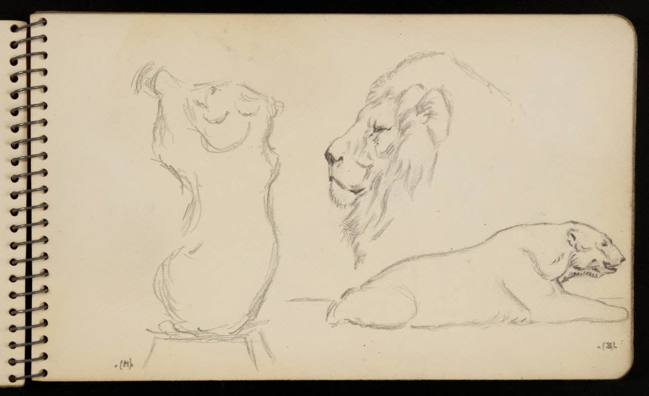 carnet de dessins Lion et ours 1967.116.950.8 Photo