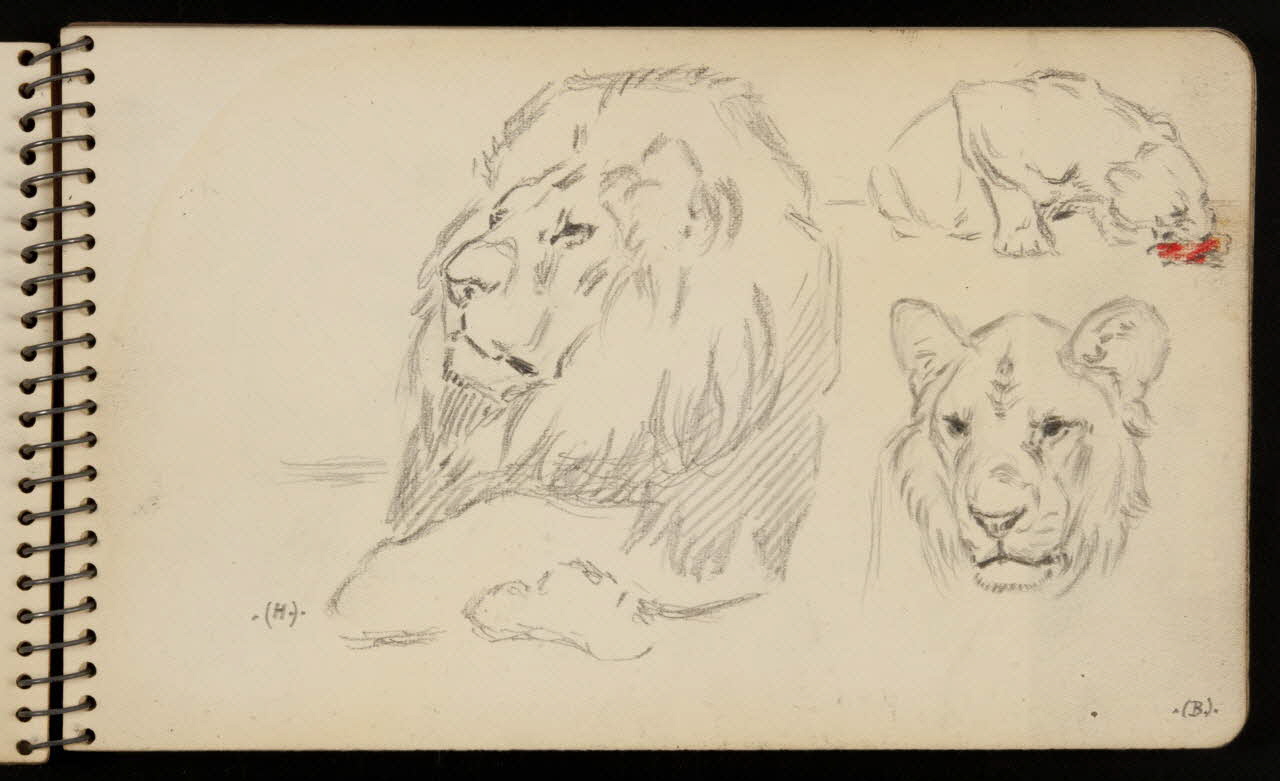carnet de dessins Tigre et lion 1967.116.950.9 Photo