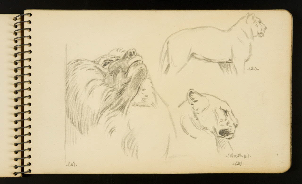 Gustave Soury carnet de dessins Lion, panthère et babouin Ile-de-France, France 1954-1955 1967.116.951.10 Photo