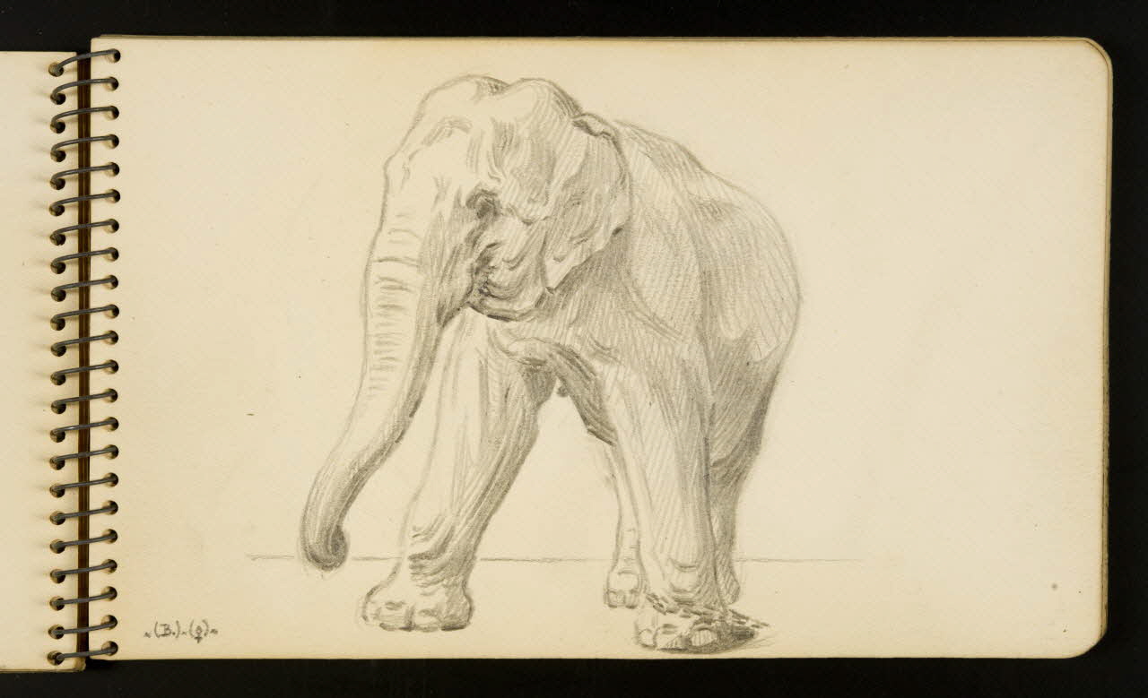 Gustave Soury carnet de dessins Eléphant Ile-de-France, France 1954-1955 1967.116.951.12 Photo