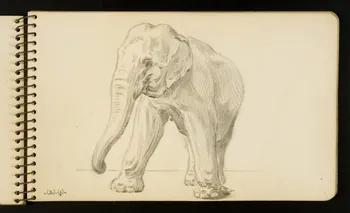 Gustave Soury carnet de dessins Eléphant Ile-de-France, France 1954-1955 1967.116.951.12 Photo