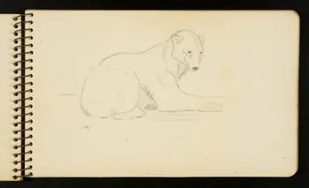 Gustave Soury carnet de dessins Ours polaire Ile-de-France, France 1954-1955 1967.116.951.13 Photo