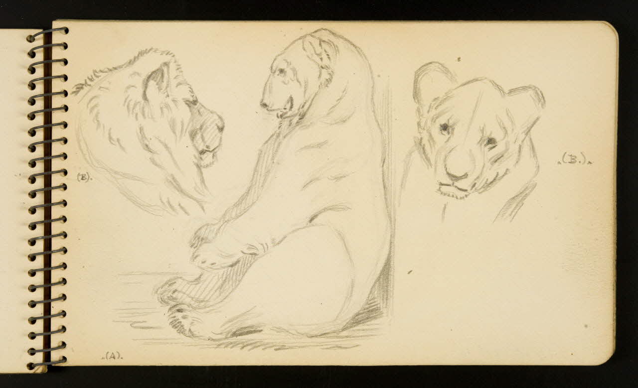 Gustave Soury carnet de dessins Ours et lion Ile-de-France, France 1954-1955 1967.116.951.14 Photo