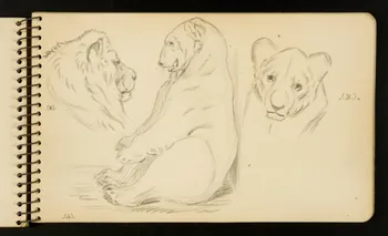 Gustave Soury carnet de dessins Ours et lion Ile-de-France, France 1954-1955 1967.116.951.14 Photo