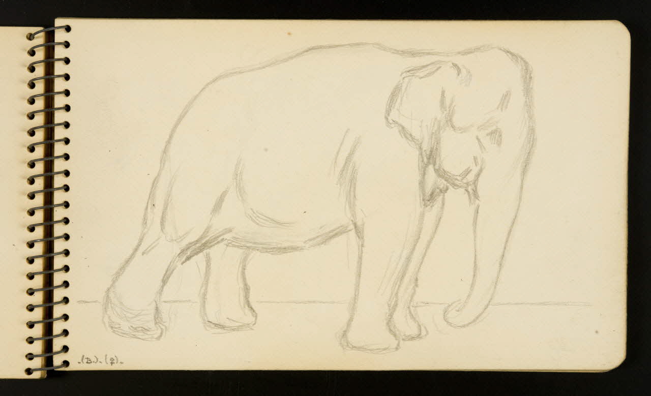 Gustave Soury carnet de dessins Elephant Ile-de-France, France 1954-1955 1967.116.951.16 Photo