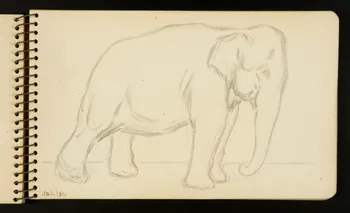 Gustave Soury carnet de dessins Elephant Ile-de-France, France 1954-1955 1967.116.951.16 Photo
