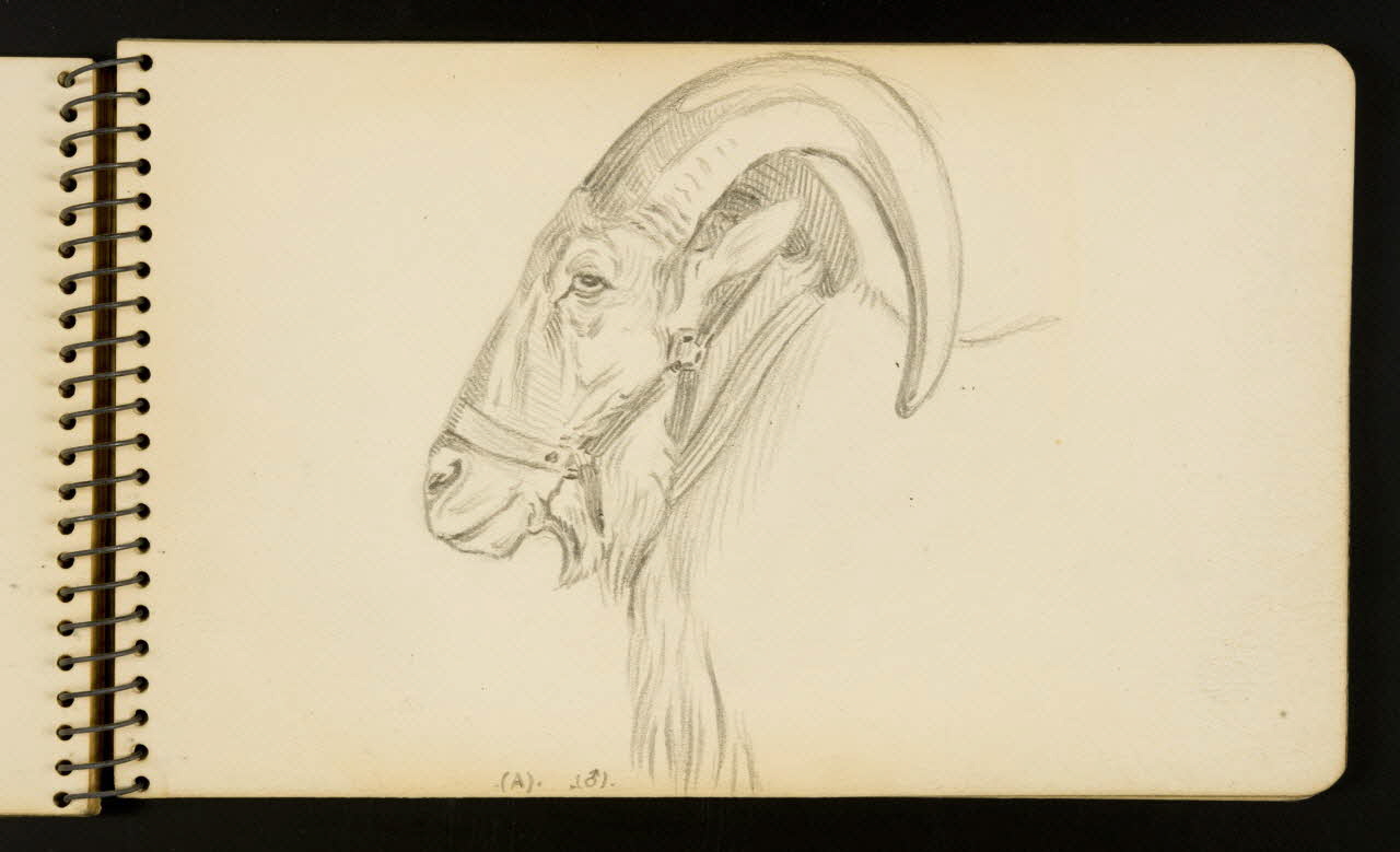 Gustave Soury carnet de dessins Bouc Ile-de-France, France 1954-1955 1967.116.951.17 Photo