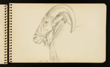 Gustave Soury carnet de dessins Bouc Ile-de-France, France 1954-1955 1967.116.951.17 Photo