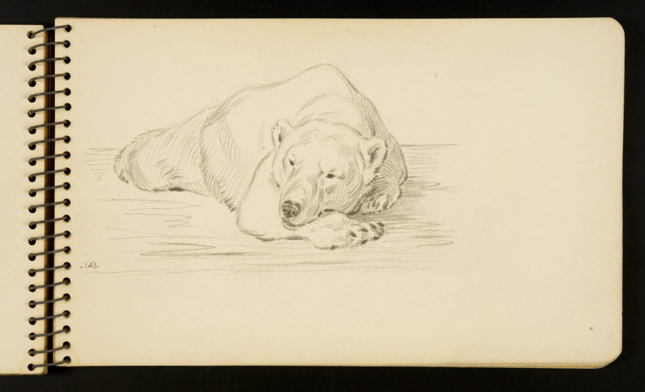 Gustave Soury carnet de dessins Ours endormi Ile-de-France, France 1954-1955 1967.116.951.18 Photo