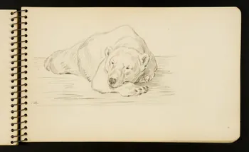 Gustave Soury carnet de dessins Ours endormi Ile-de-France, France 1954-1955 1967.116.951.18 Photo
