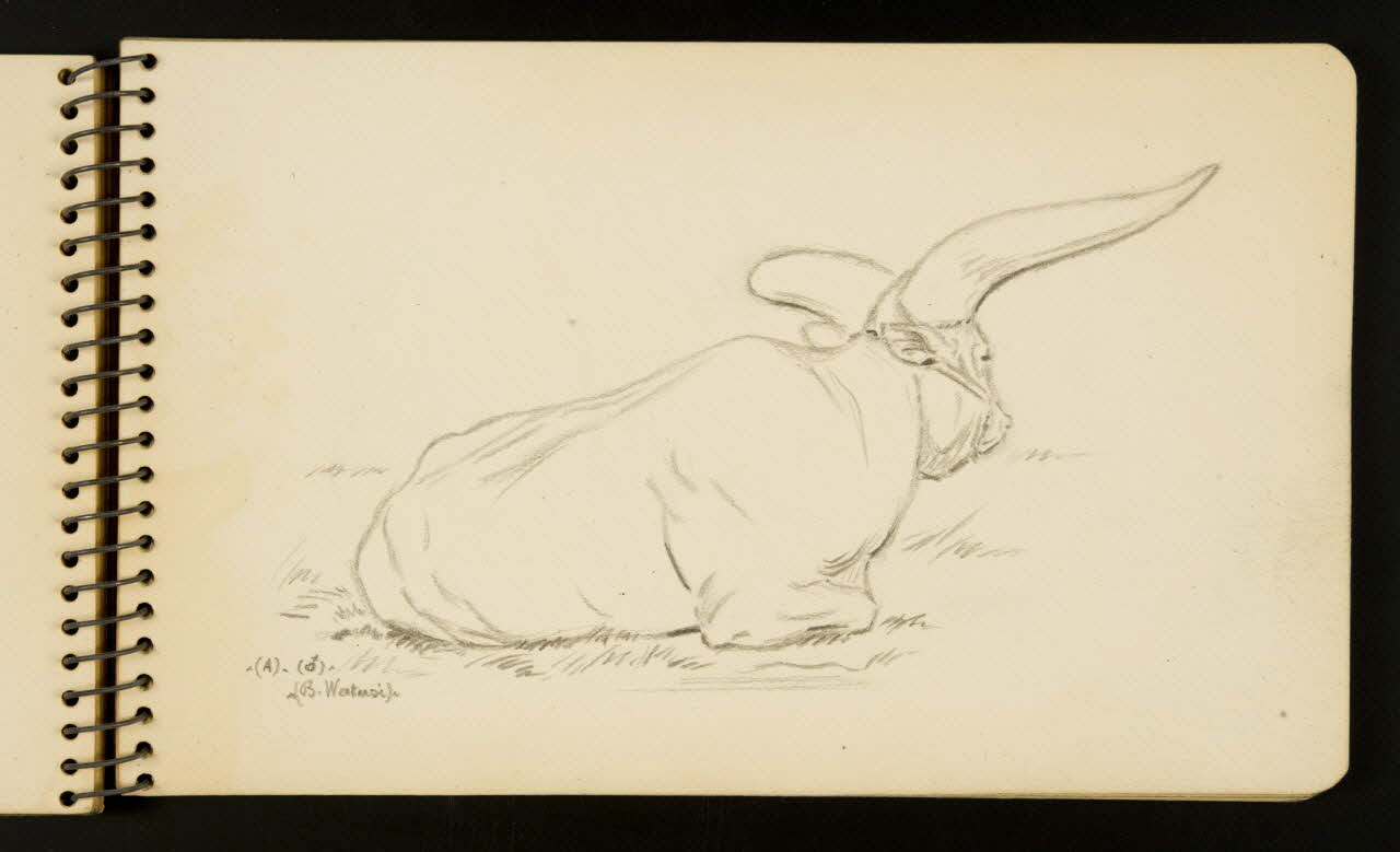 Gustave Soury carnet de dessins Watusi. Ile-de-France, France 1954-1955 1967.116.951.19 Photo