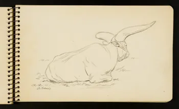 Gustave Soury carnet de dessins Watusi. Ile-de-France, France 1954-1955 1967.116.951.19 Photo