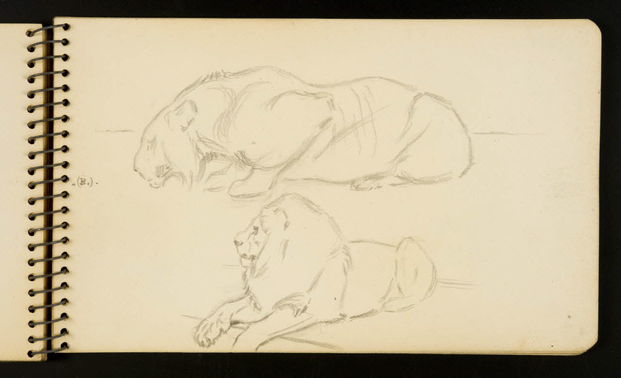 Gustave Soury carnet de dessins Lion Ile-de-France, France 1954-1955 1967.116.951.21 Photo