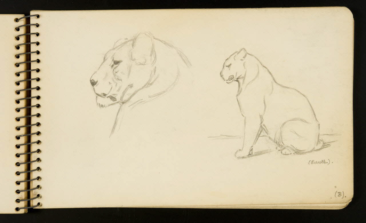 Gustave Soury carnet de dessins Lion Ile-de-France, France 1954-1955 1967.116.951.22 Photo