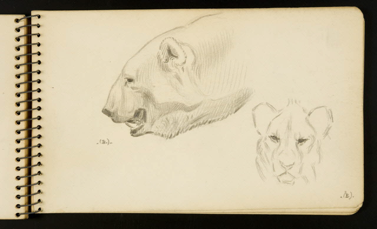 Gustave Soury carnet de dessins Ours et lion Ile-de-France, France 1954-1955 1967.116.951.23 Photo