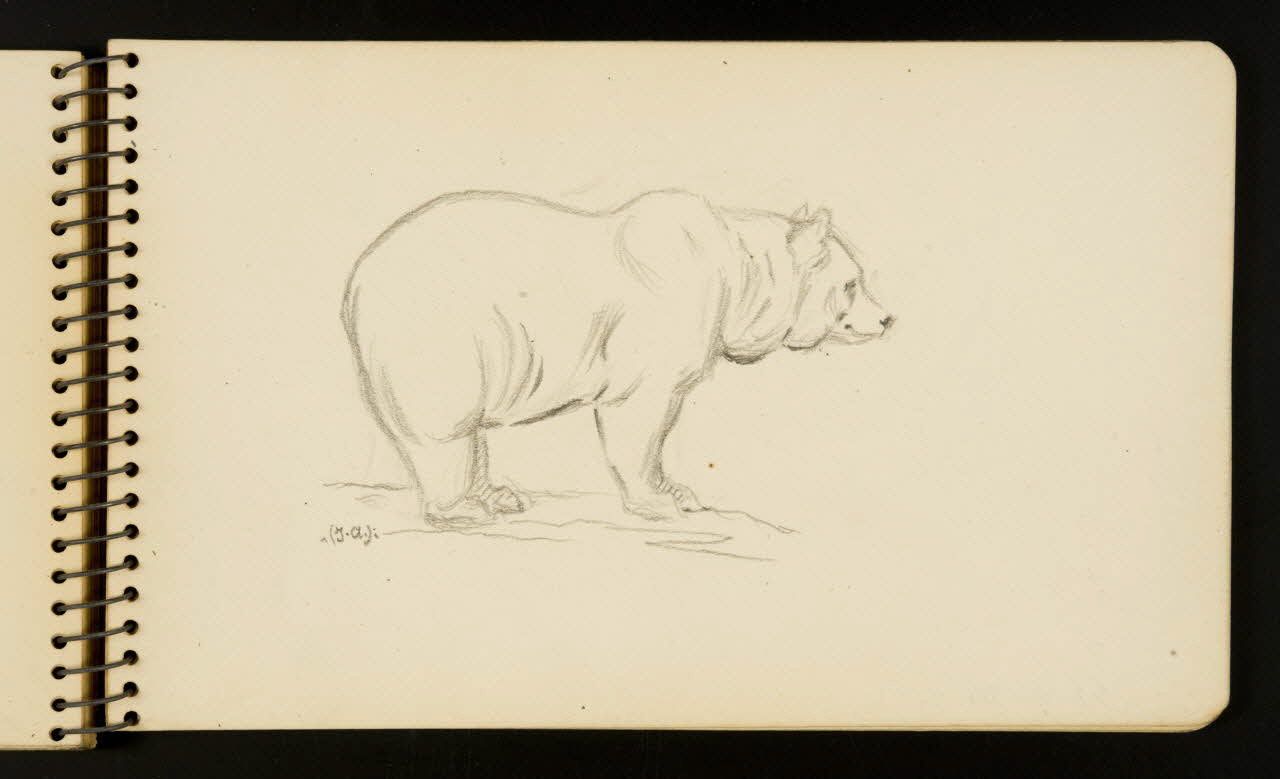 Gustave Soury carnet de dessins Ours Ile-de-France, France 1954-1955 1967.116.951.25 Photo