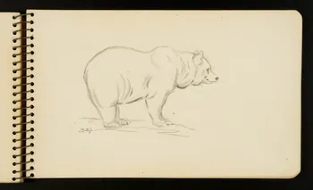 Gustave Soury carnet de dessins Ours Ile-de-France, France 1954-1955 1967.116.951.25 Photo