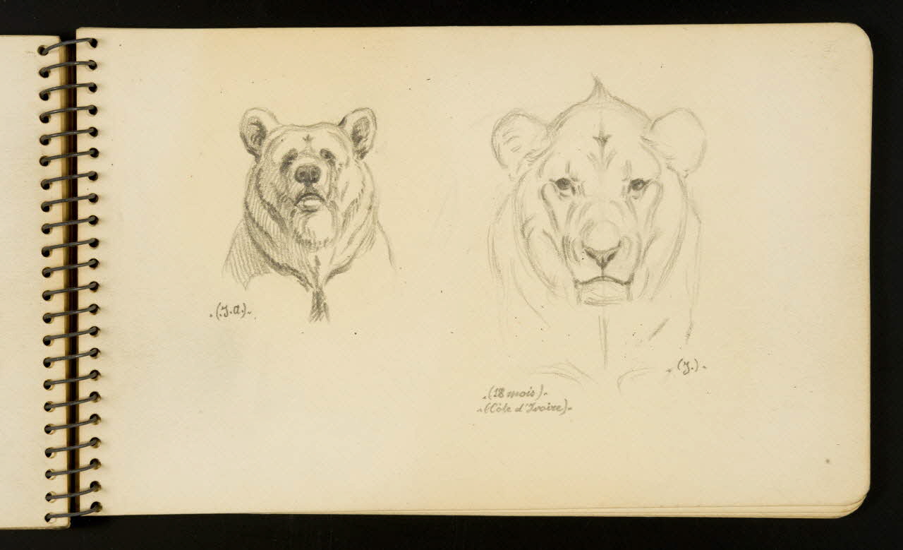 Gustave Soury carnet de dessins Ours et lion Ile-de-France, France 1954-1955 1967.116.951.26 Photo